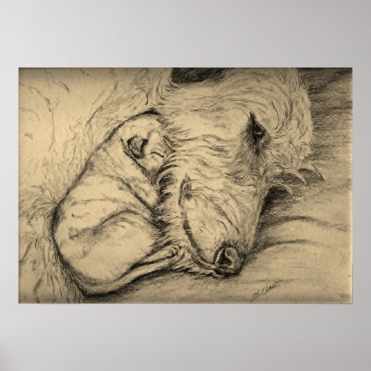 Poster Irlandais Wolfhound Mère et Chiot (Devant)