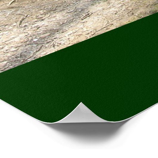 Poster Irlande (Coin)