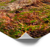 Poster Irlande (Coin)