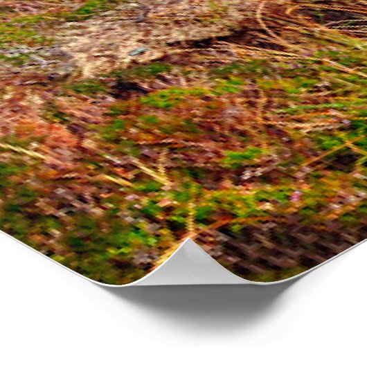 Poster Irlande (Coin)