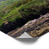 Poster Irlande (Coin)