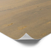 Poster irlande (Coin)