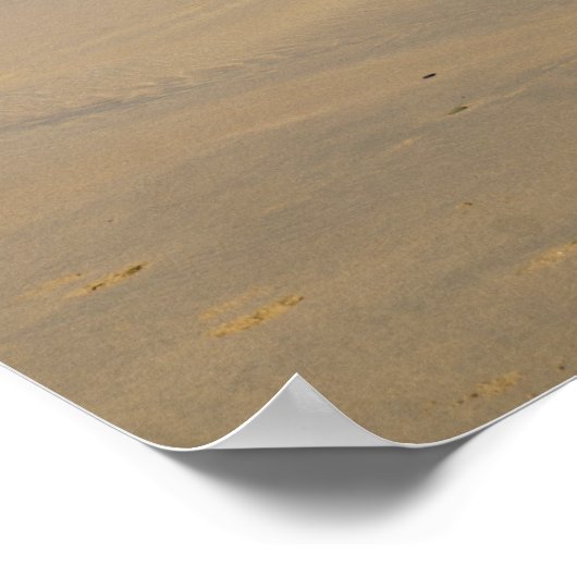 Poster irlande (Coin)