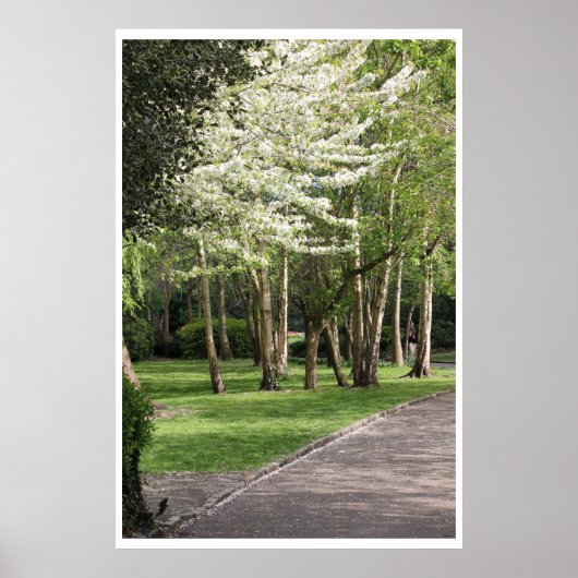 Poster Irlande du printemps (Devant)