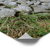 Poster Irlande, Inishmore, Aran Island, Dun Aengus Fort (Coin)