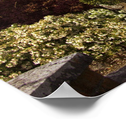 Poster Irlande, le Dromoland Castle Walled Garden (Coin)