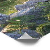 Poster Irlande rurale (Coin)