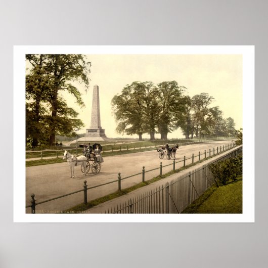 Poster Irlande vintage, Phoenix Park Dublin (Devant)