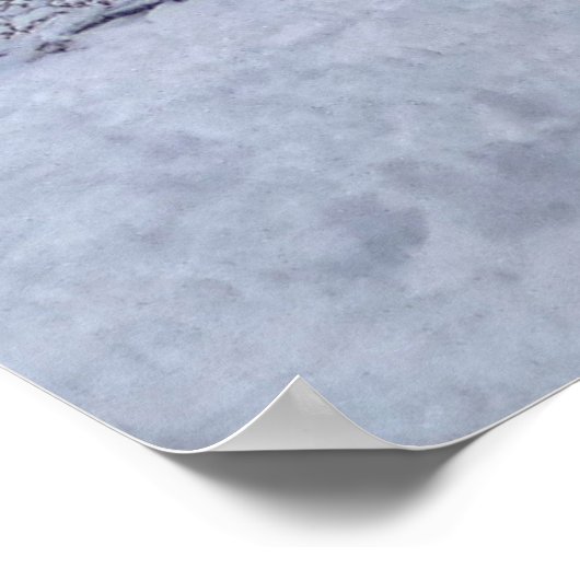 Poster Iron County Courthouse (Coin)