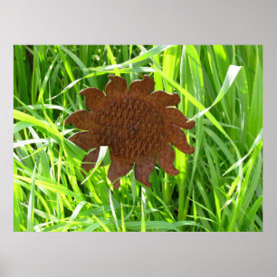 Poster - Iron Sunflower in Grass