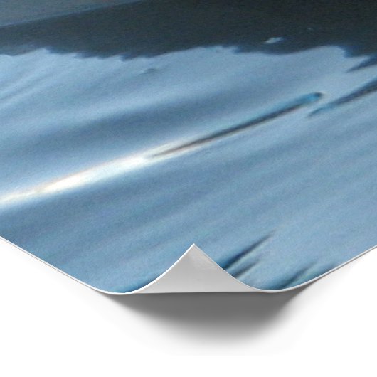 Poster Irrawaddy Dolphin Peek-A-Boo (Coin)