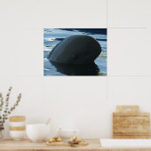 Poster Irrawaddy Dolphin Peek-A-Boo (Cuisine)