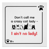 Poster Irreverent Humor Crazy Cat Lady  (Devant)