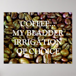 POSTER IRRIGATION DE LA VÉRIFICATION DU CHOIX