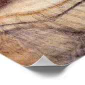 Poster Isabella (Coin)