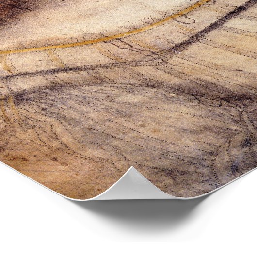 Poster Isabella (Coin)