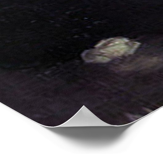 Poster Isabella et le Pot de Basil (Coin)