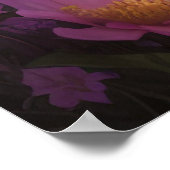 Poster Isabella - Le Guérisseur Près De La Mosquée (Coin)