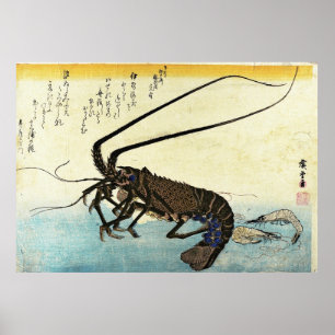 Poster Iseebi & Ebi - Poisson des oiseaux (homard épineux