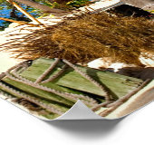 Poster Islamorada, Floride Palmiers (Coin)