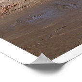 Poster Island Beachfront sur le lac (Coin)