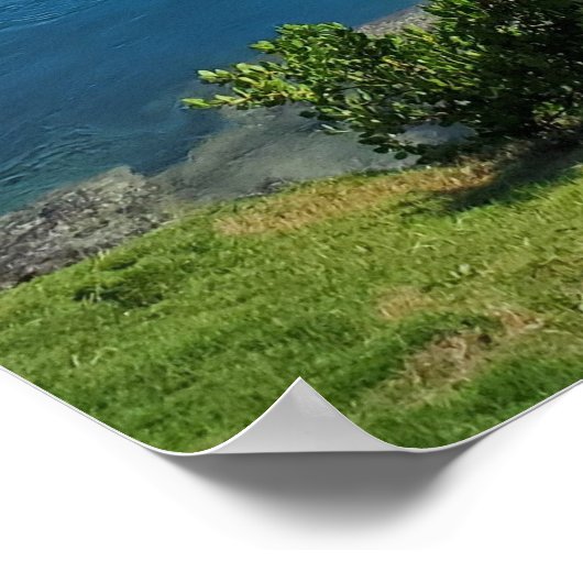 Poster Island Life (Coin)