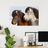 Poster Islandais Profil de cheval, Islande (Bureau à domicile)