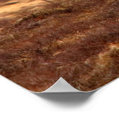 POSTER ISLANDE (Coin)