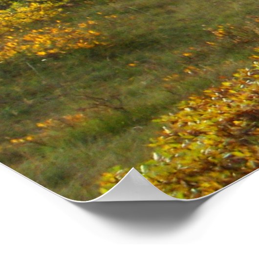 Poster Islande (Coin)