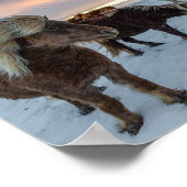 Poster Islande Chevaux sauvages photo Voyage (Coin)