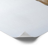 Poster Islande. Portrait de cheval islandais. (Coin)