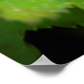 Poster Islande. Région du Sud. Gullfoss (Coin)