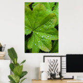 Poster Islande. Région du Sud. Gullfoss (Bureau à domicile)