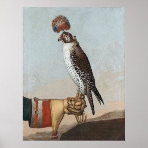 Poster Islandic Gyrfalcon