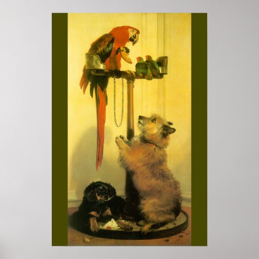 Poster Islay, Tilco, un Macaw et des Inséparables de Land (Devant)