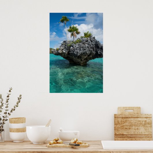Poster Islet De Champignons À Fidji (Cuisine)