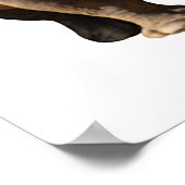 Poster Isolé deux rhinocéros blancs (Coin)