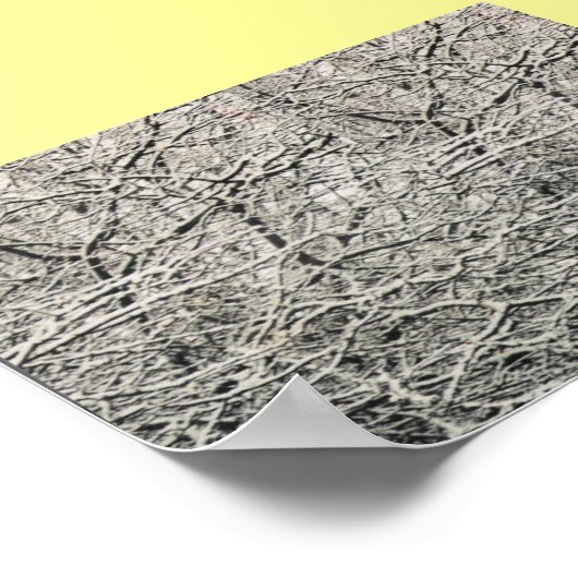 POSTER ISOLÉ PAR LA NEIGE (Coin)