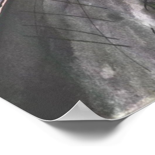 Poster Italia (Coin)