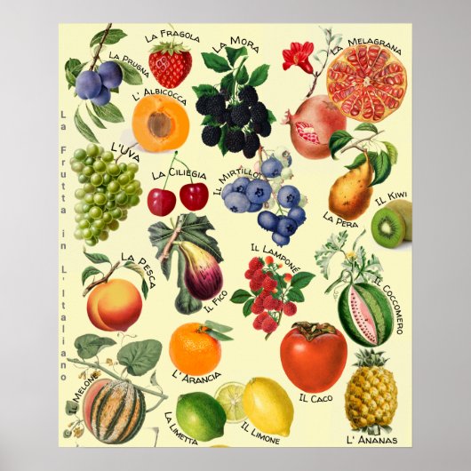 Poster Italian Fruit Language Chart  (Devant)