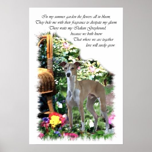 Poster Italian Greyhound Art Print (Devant)