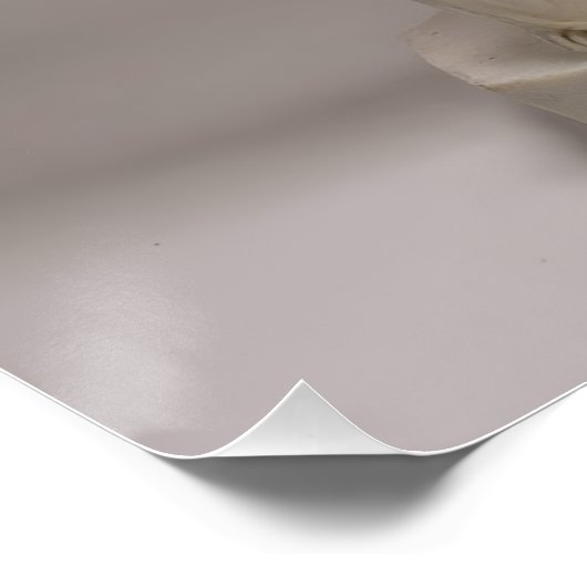 Poster Italian Playing Cards - Ace of Spades (Coin)