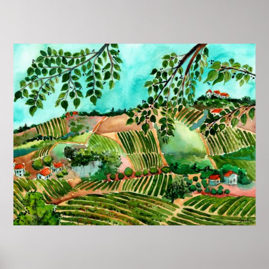 Poster Italian Vineyards (Devant)
