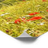 Poster Italie, Monteriggioni, Field View de (Coin)