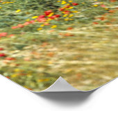 Poster Italie, Sicile, Agrigente. Les ruines de (Coin)