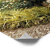 Poster Italie, Sicile, Palerme. Les cloîtres survivent co (Coin)