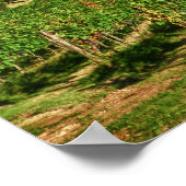 Poster Italie, Toscane, Greve. Les vignobles du Castello (Coin)