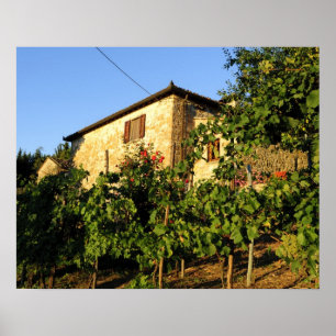 Poster Italie, Toscane, Greve. Scènes de vin fin été