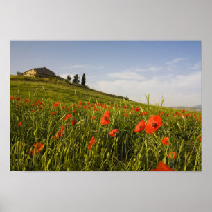 Poster Italie, Toscane, Villa toscane au printemps avec