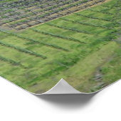 Poster Italie Vins (Coin)